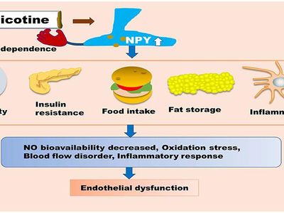 Which organ does nicotine primarily affect?