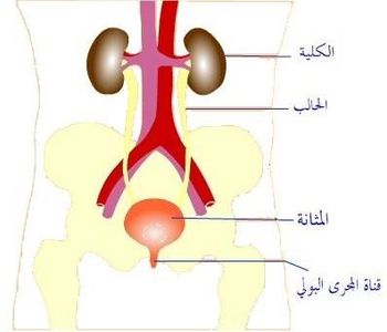 ماإسم الجهاز الموضح امامك