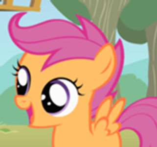 This pony?