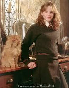 Hermione's Cat's name please?