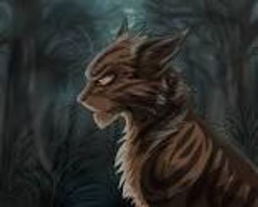 Did Tigerstar have more than 1 mate?