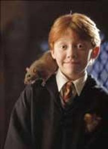 What Colour does Ron try and turn Scabbers?