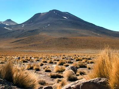 Which is the driest desert on Earth?