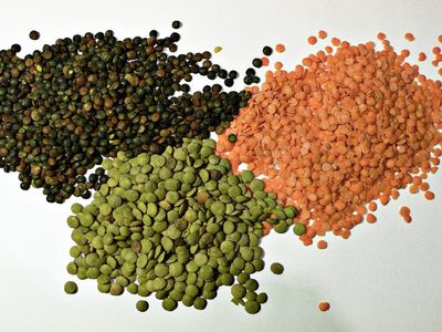 Red lentils are a type of: