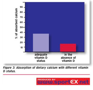 What vitamin does vitamin D help in the absorption of?