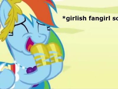 Who is Rainbow Dash's idol?