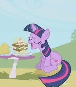 What's twilights favorite food?