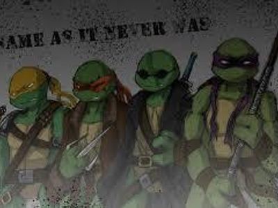 Which is the only turtle who does not die in the SAINW world??