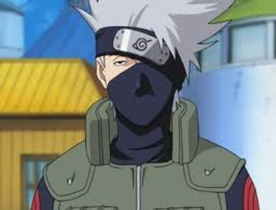 What does Kakashi read??