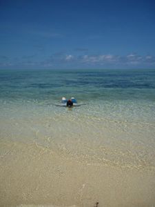 How does Plastic debris affect Fiji's future? Fiji faces multiple threats to our economy through climate change and other issues. What is the biggest threat waste plastic poses?