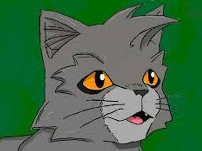 What is Graypaw's warrior name?  Use a capital letter