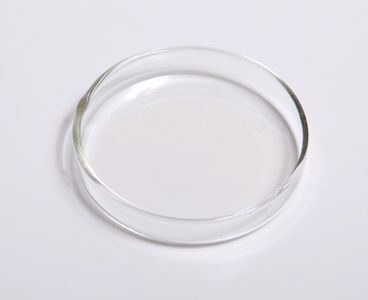 What is a petri dish used for in microbiology?