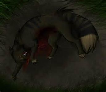 How did Tigerstar die?