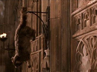 Who's cat dies/is petrified in the second book/movie? (Chamber of Secrets)