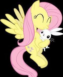 What is the name of Fluttershy's pet?