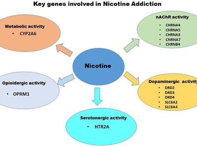 How does nicotine contribute to the development of addiction?