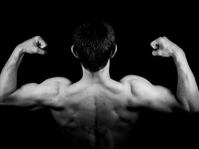 Which body part is often neglected in muscle-building workouts?