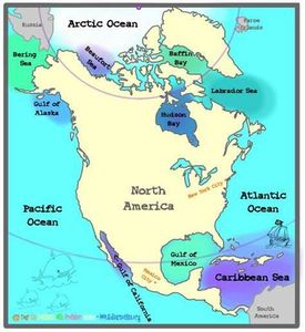 Which ocean borders the majority of the US?