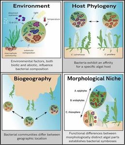 What is the study of the interactions between organisms and their environment called?