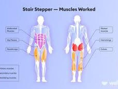 Step aerobics primarily targets which muscle group?