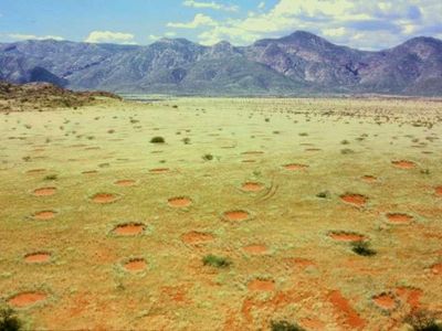 Which desert is known for its 'Fairy Circles'?