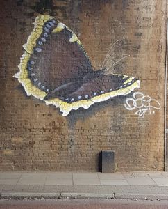 Who is famous for their signature butterfly motif in their street art?