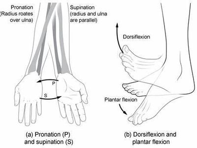 In Ballroom dancing, what is the term for a quick turn on one foot?