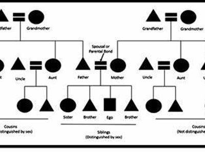 What is Kinship anthropology?