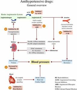 What is a common prescription drug used to treat high blood pressure?