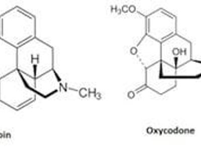 What synthetic opioid is 100 times more potent than morphine and is often mixed with heroin or sold as counterfeit pills?