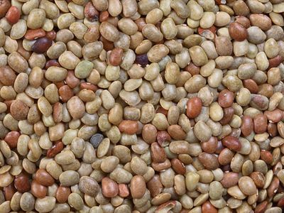 What is the other name for horse gram?