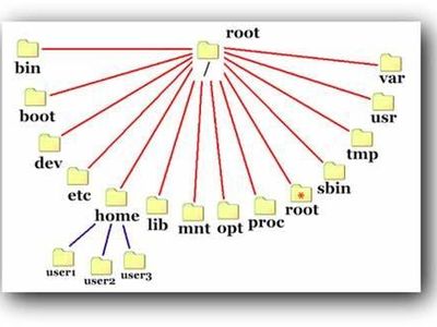 What is the main purpose of a file management function in an operating system?