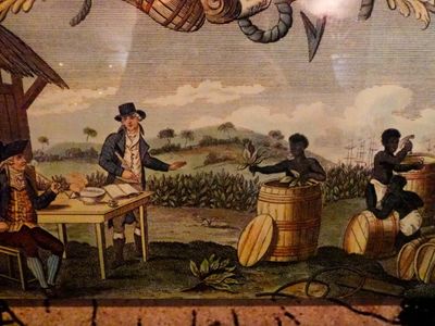 What was the main cash crop of the Middle colonies?