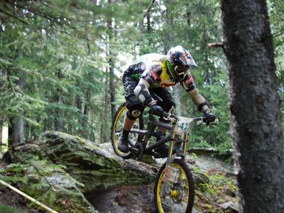 Which type of mountain bike is designed for downhill racing?