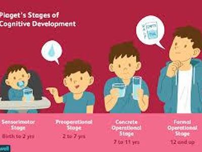 Which psychologist developed the Stages of Cognitive Development?