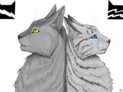 Section three: Graystripe  Question one; How many mates does Graystripe have?