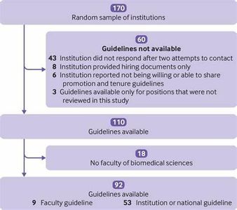 What is the term used for a professor who has earned tenure at a university?