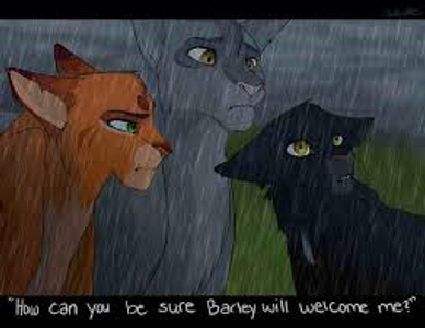 Where do firepaw and graypaw take ravenpaw?