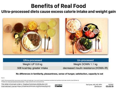 What type of food group contributes carbohydrates to our diet?