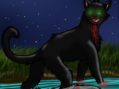 When the truth came out what did Hollyleaf do next?