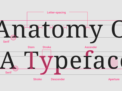 Which type classification includes fonts designed to mimic handwriting?