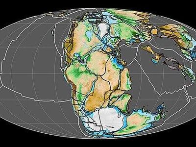 Which continent is known for its kangaroos and koalas?