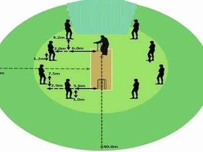 What is the main objective of a batsman in cricket?