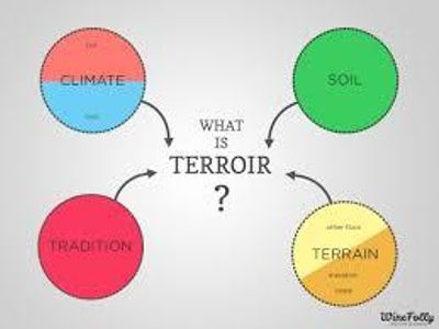 What does the term 'terroir' refer to in winemaking?