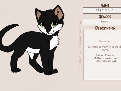 What is name of the first medicine cat of shadowclan?