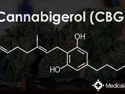 What is the term for a non-intoxicating cannabinoid found in cannabis?