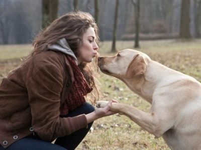 What is my relationship with my pet?