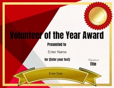 What was the title of the award I received for community service?