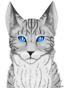 When Jayfeather had to vote for the Ancient cats to stay or leave, where did he push his pebble?