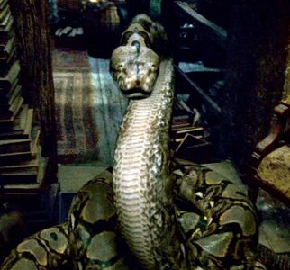 Who killed Nagini?